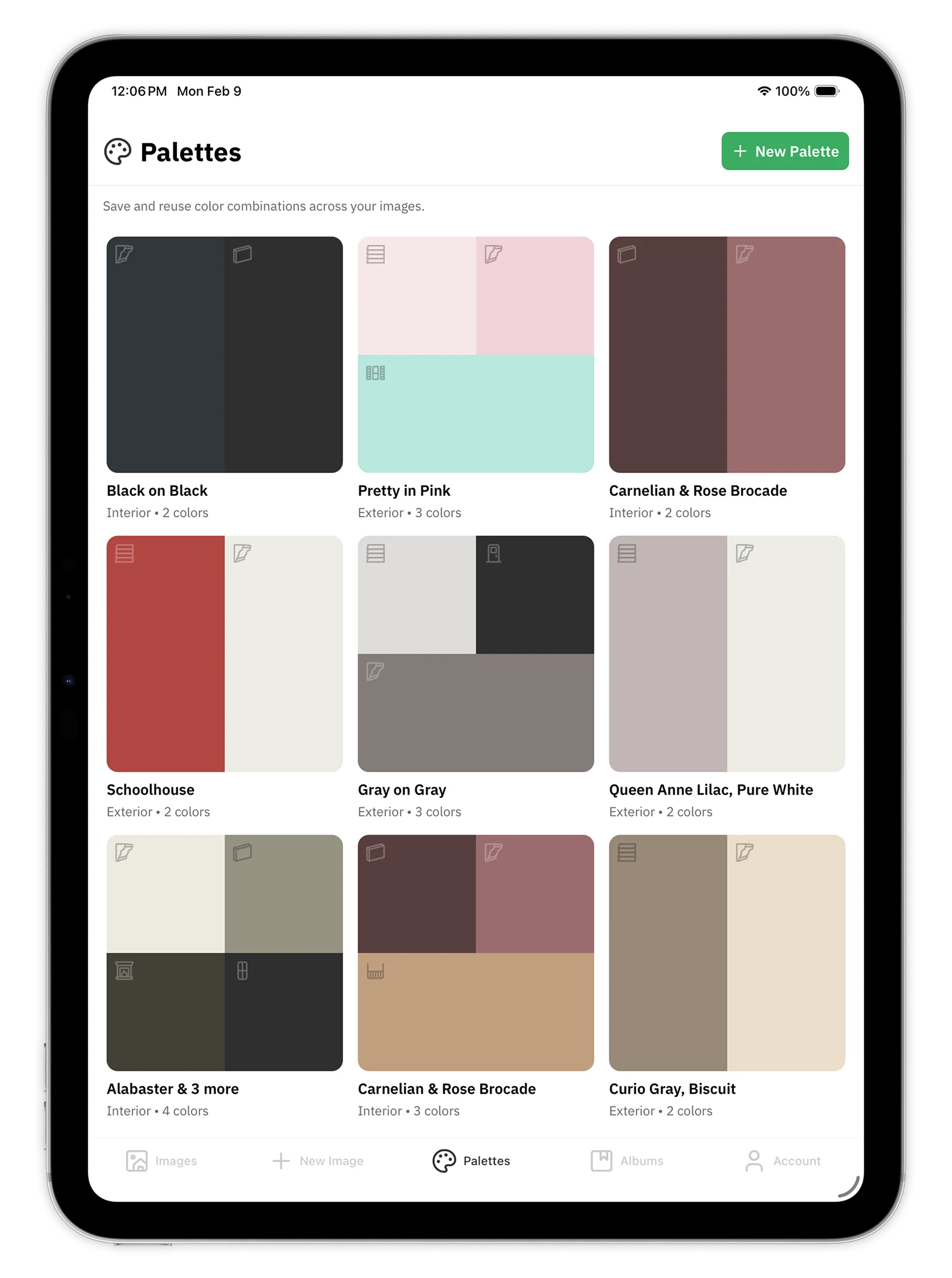 Housepaint AI on iPad - Save and apply color palettes